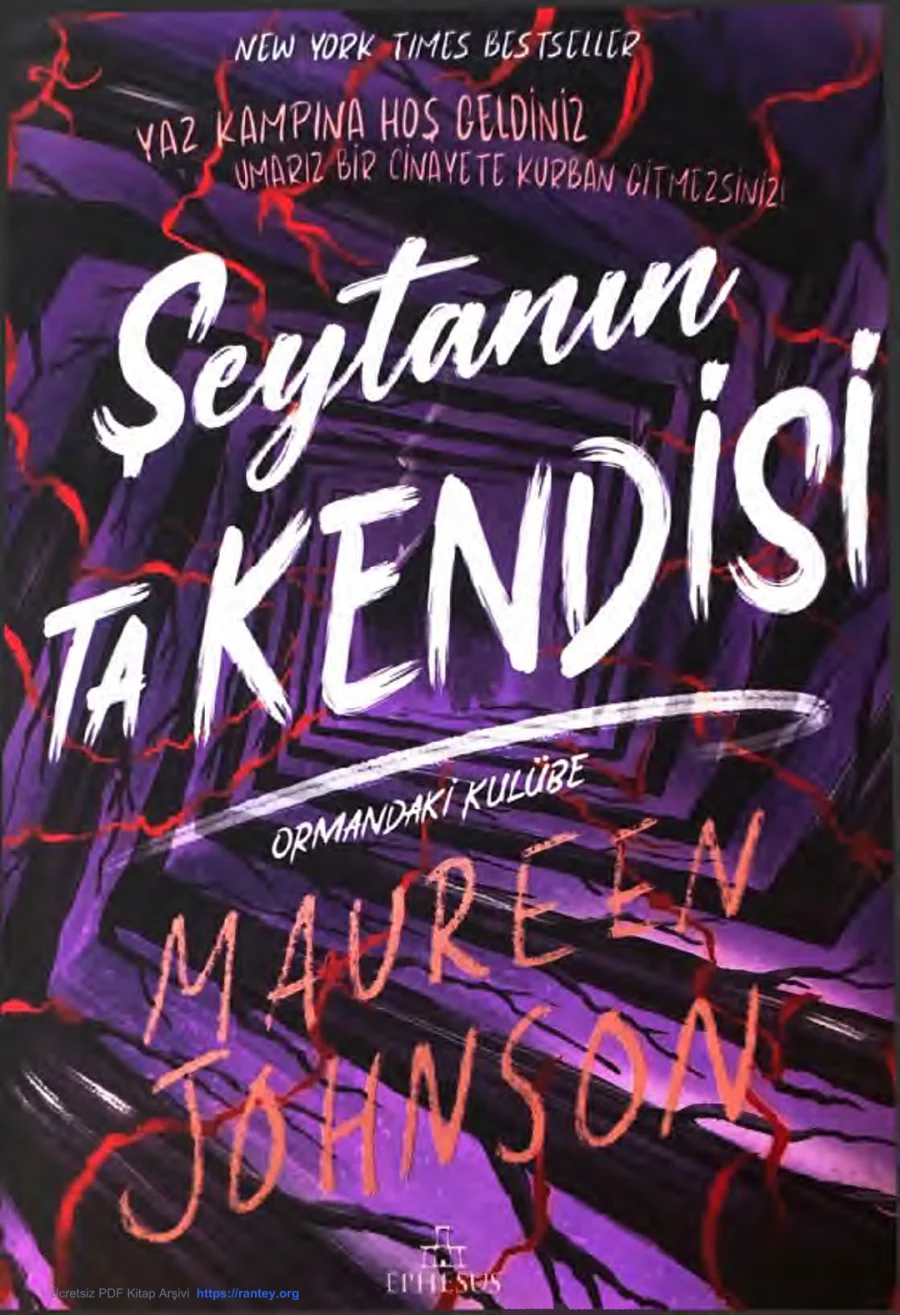 Şeytanın Ta Kendisi 4: Ormandaki Kulübe kapak görseli