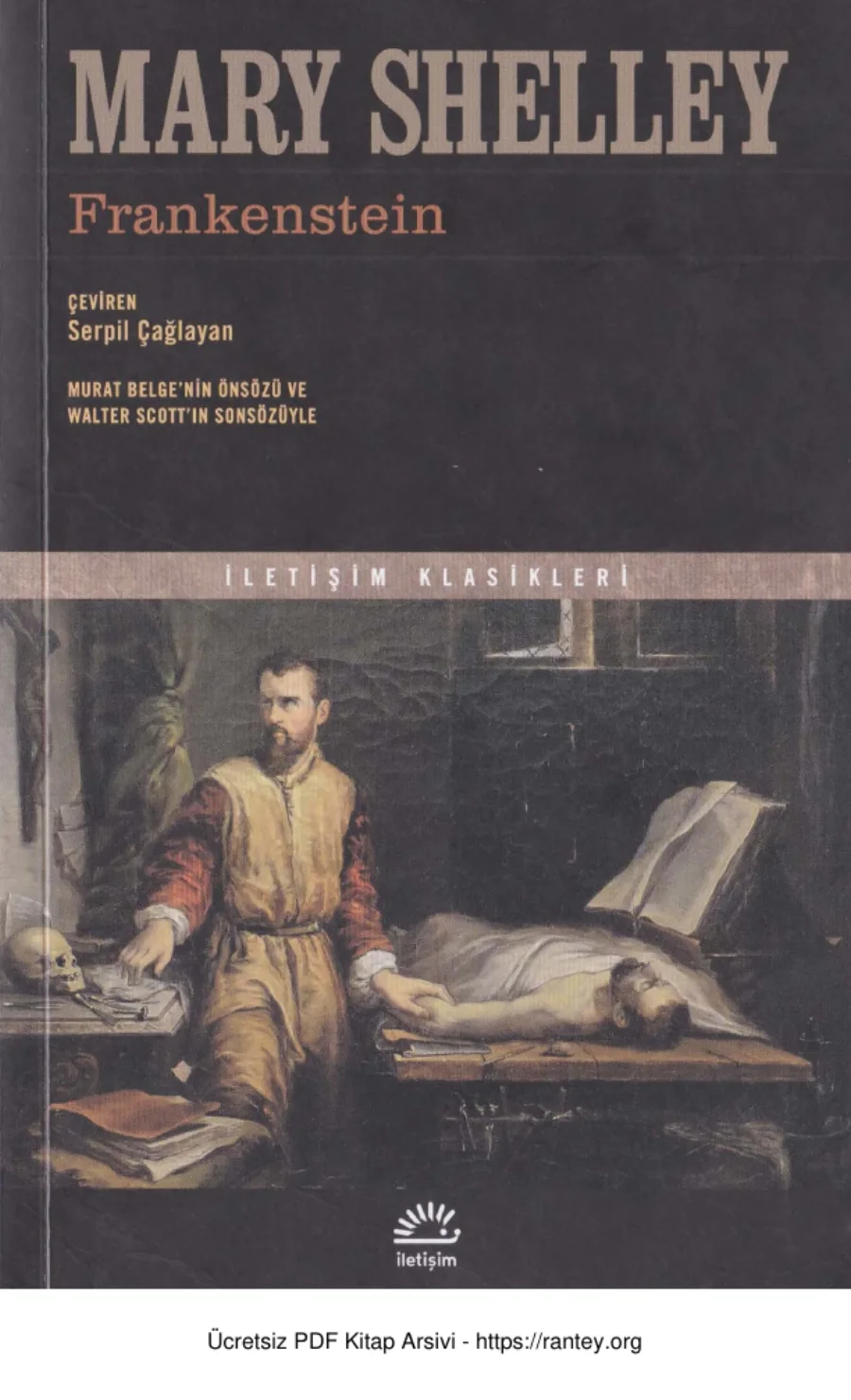 Shelley kapak görseli