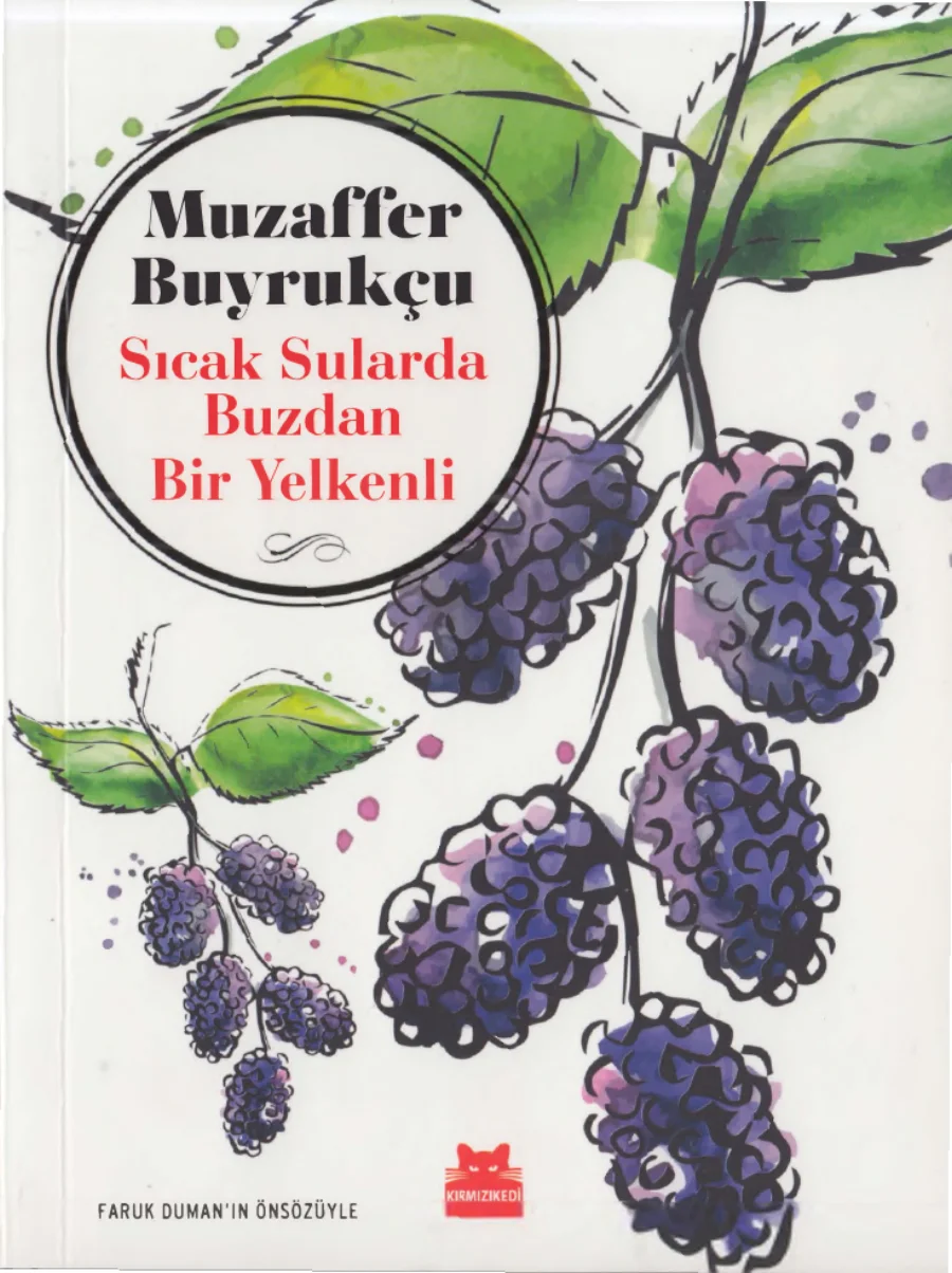 Sıcak Sularda Buzdan Bir Yelkenli kapak görseli