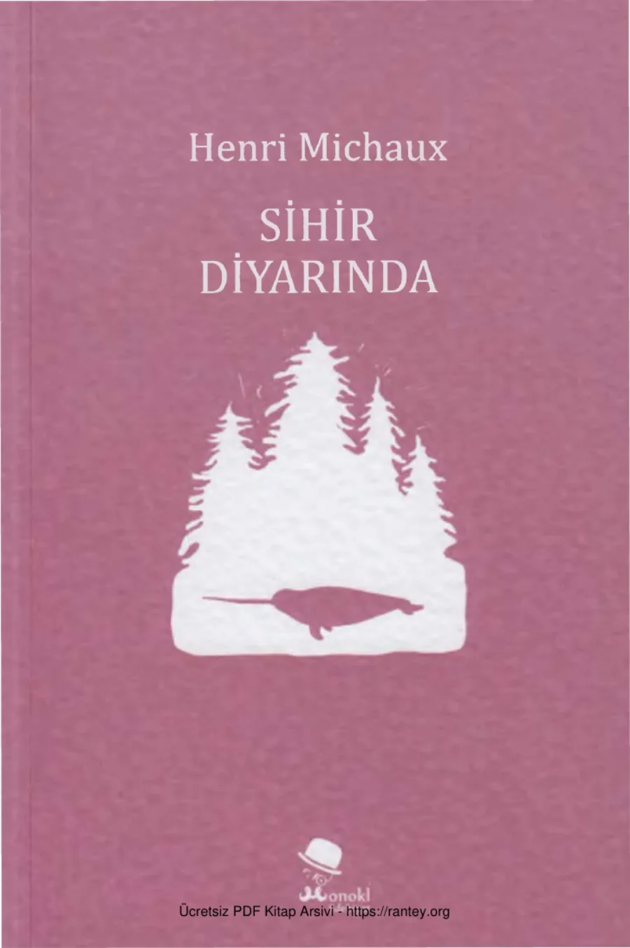 Sihir Diyarında kapak görseli
