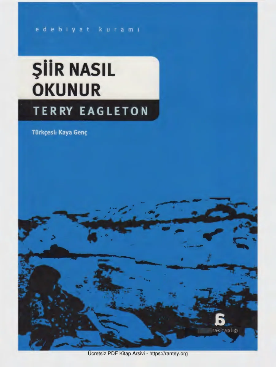 Şiir Nasıl Okunur kapak görseli