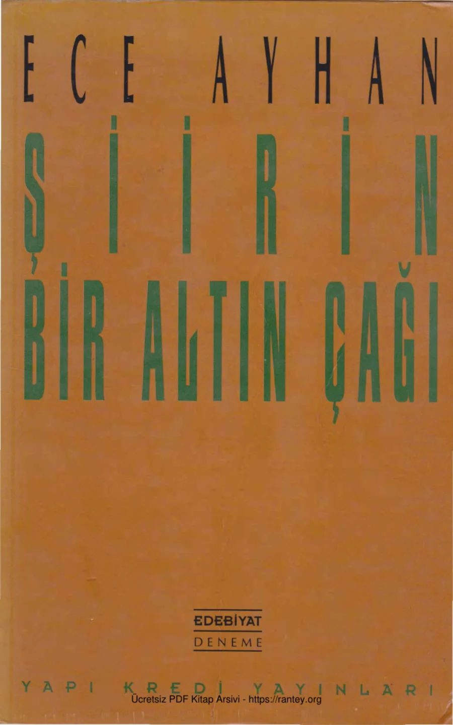 Şiirin Bir Altın Çağı kapak görseli