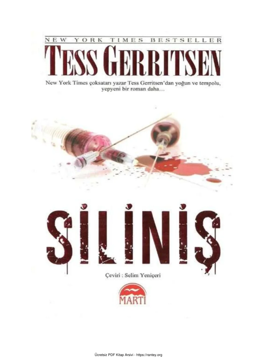 Silinis kapak görseli