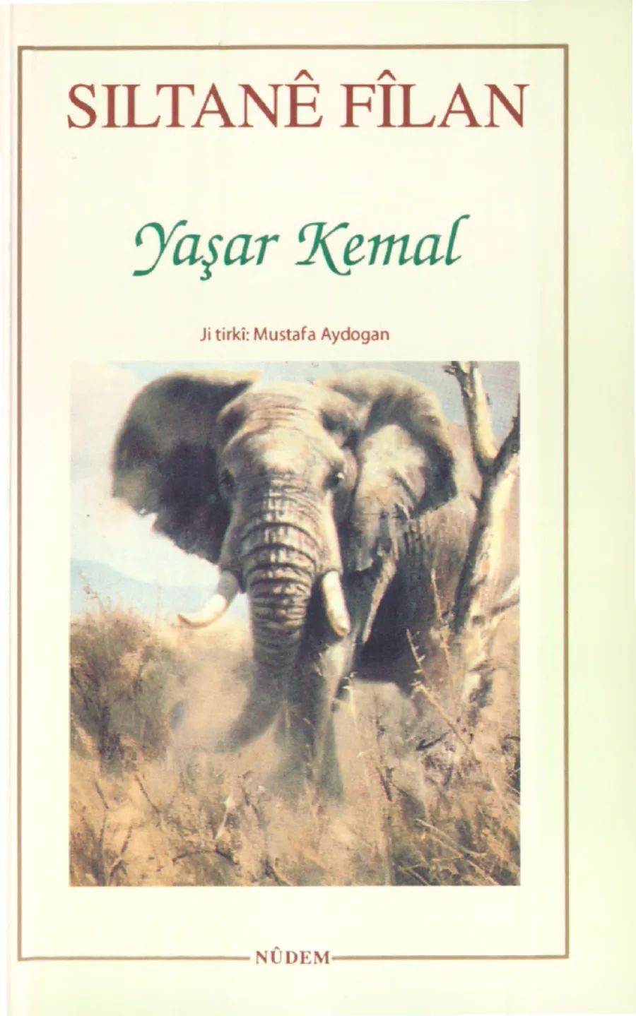Siltan Flan Weşann Ndem kitap kapağı
