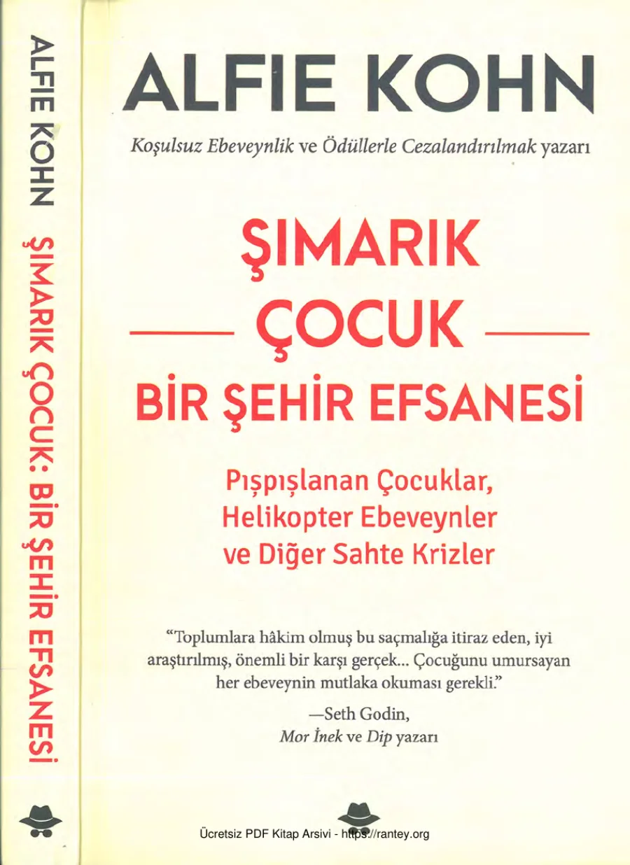 Şımarık Çocuk Görünmez kapak görseli