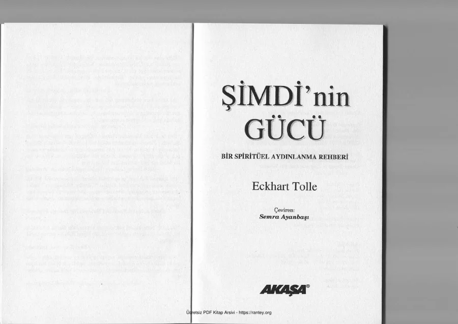 Şimdi nin Gücü kapak görseli