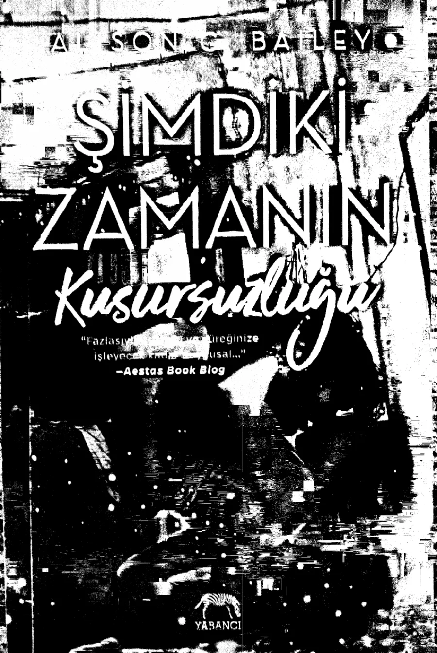 Şimdiki Zamanın Kusursuzluğu kapak görseli