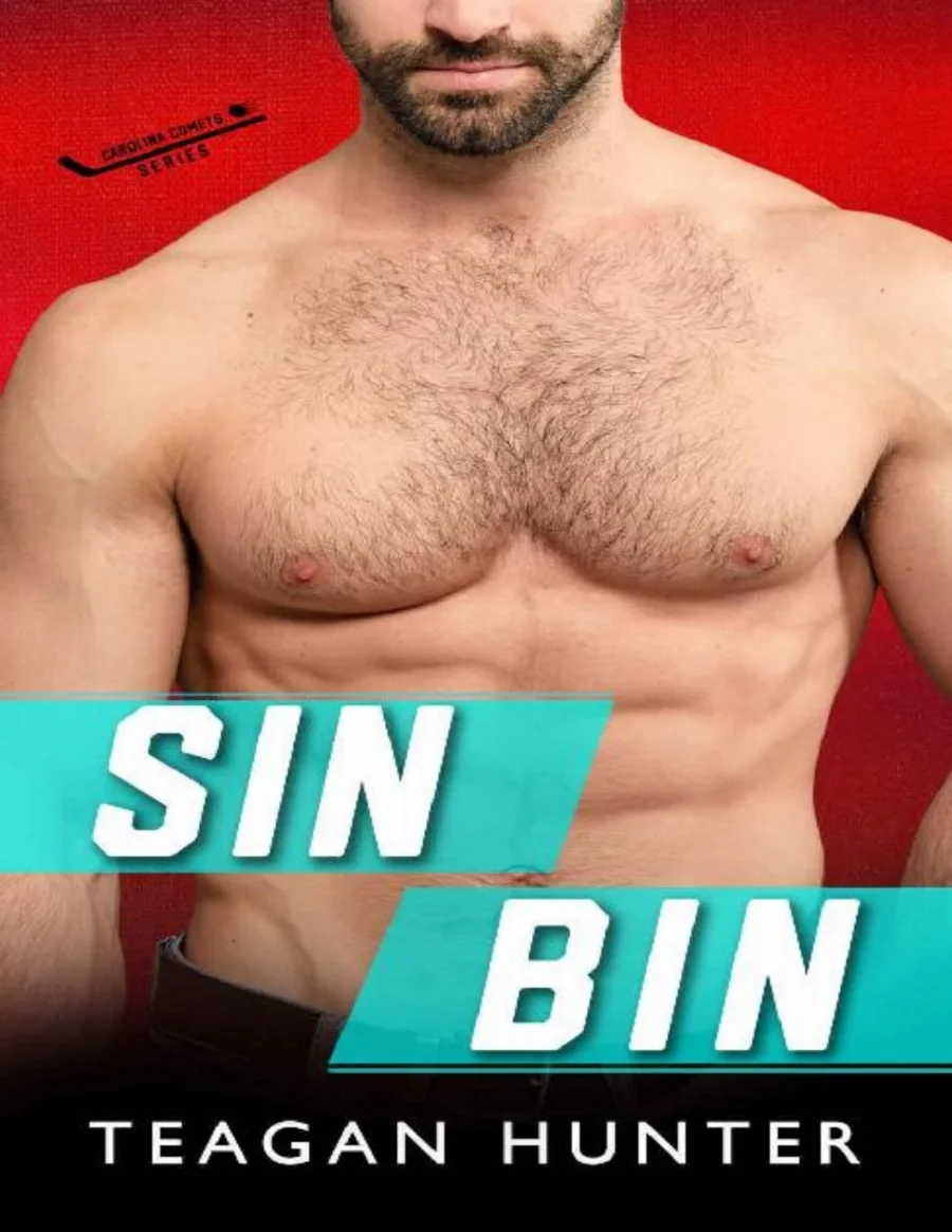 Sin Bin kapak görseli