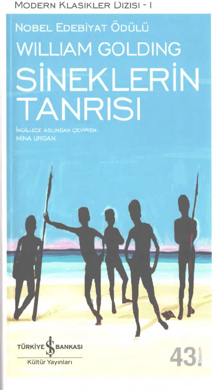 Sineklerin Tanrısı kapak görseli