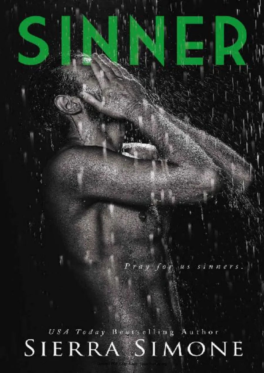 Sinner kapak görseli