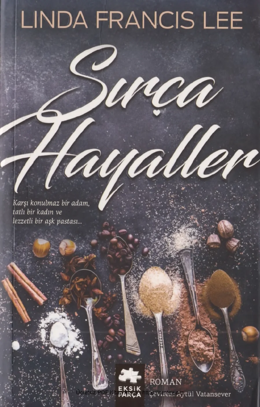 Sırça Hayaller kapak görseli