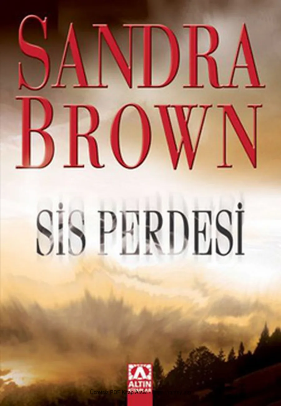 Sis Perdesi kapak görseli