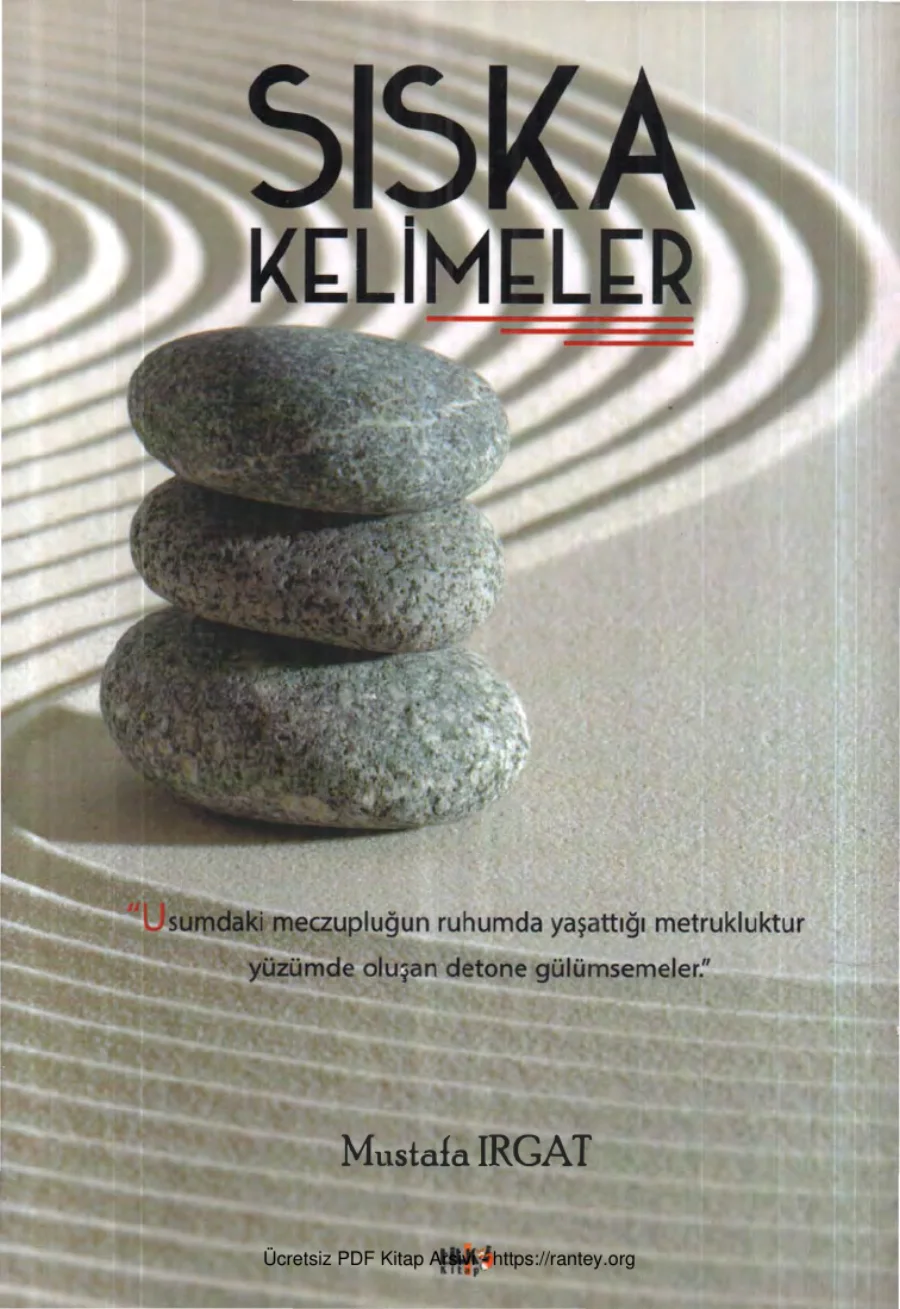Sıska Kelimeler Tilki Yayınları kapak görseli