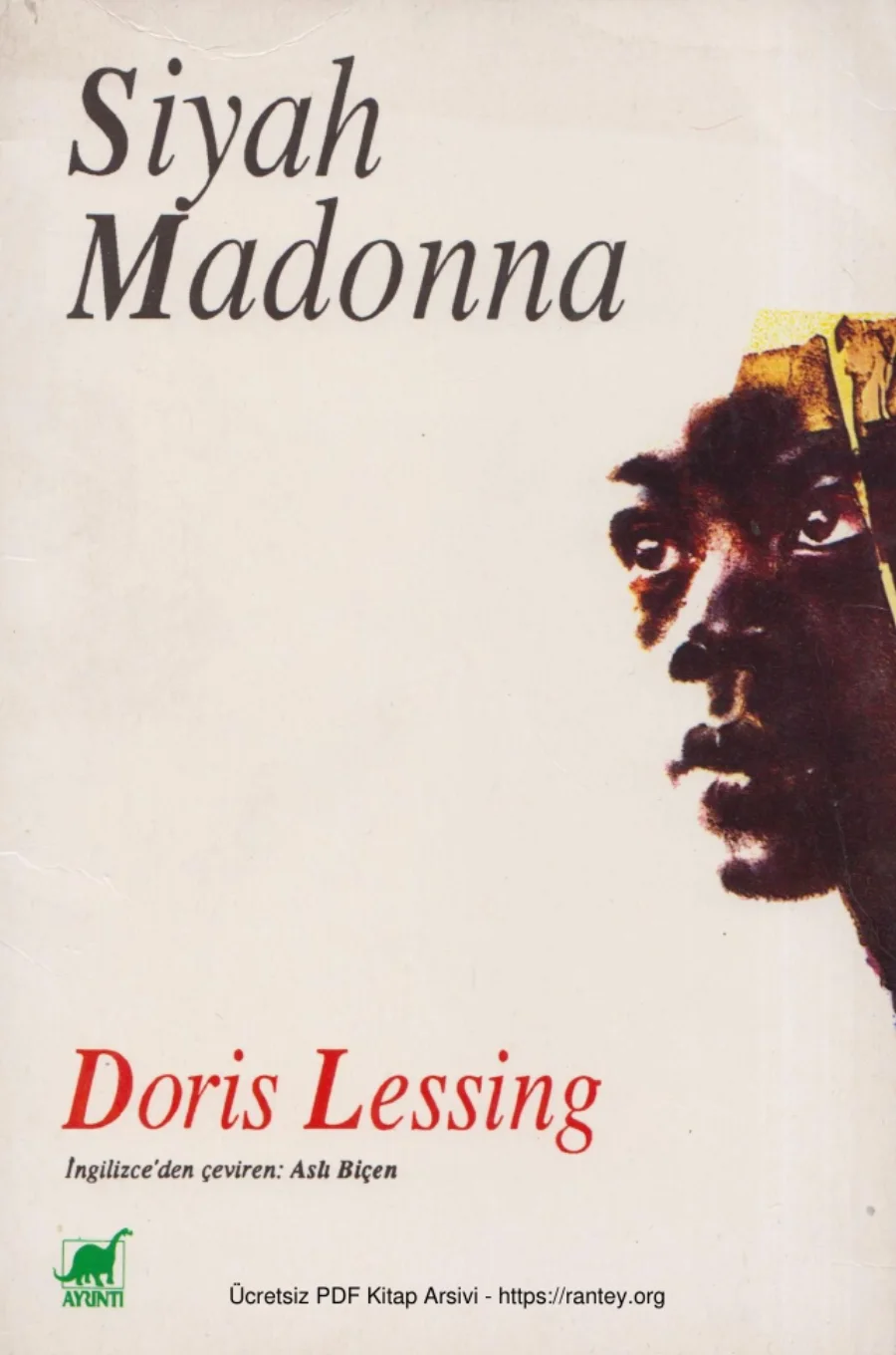 Siyah Madonna kapak görseli