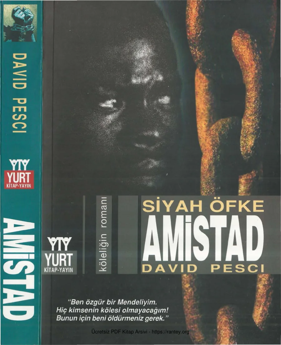 Siyah Öfke Amistad kapak görseli