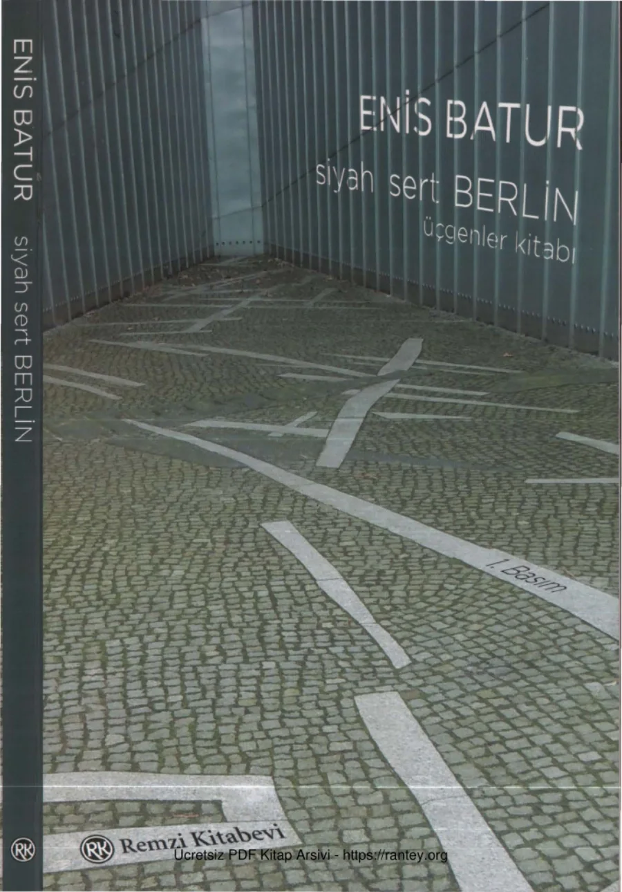 Siyah Sert Berlin Üçgenler Kitabı kapak görseli