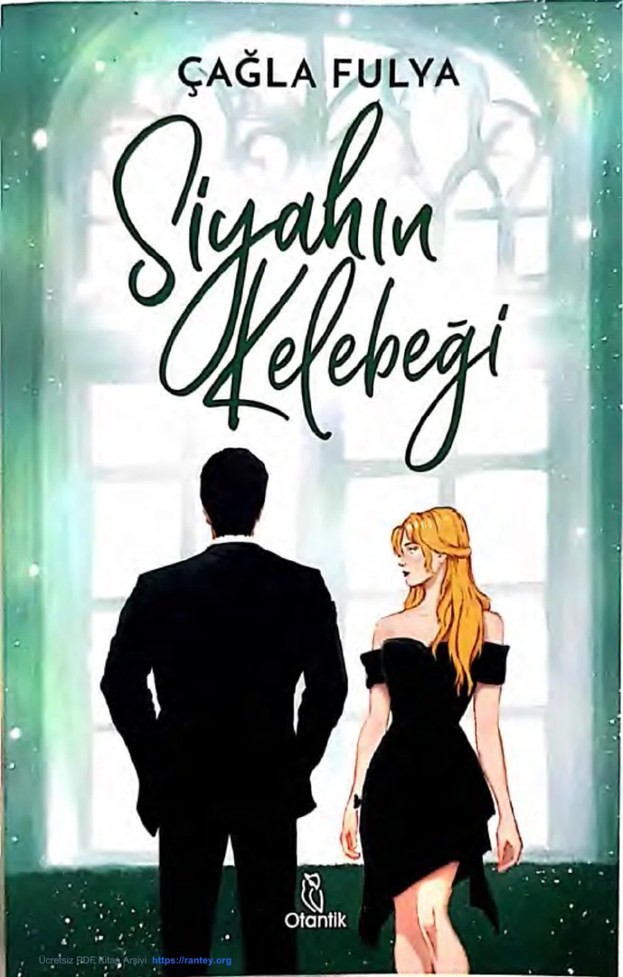 Siyahın Kelebeği kapak görseli