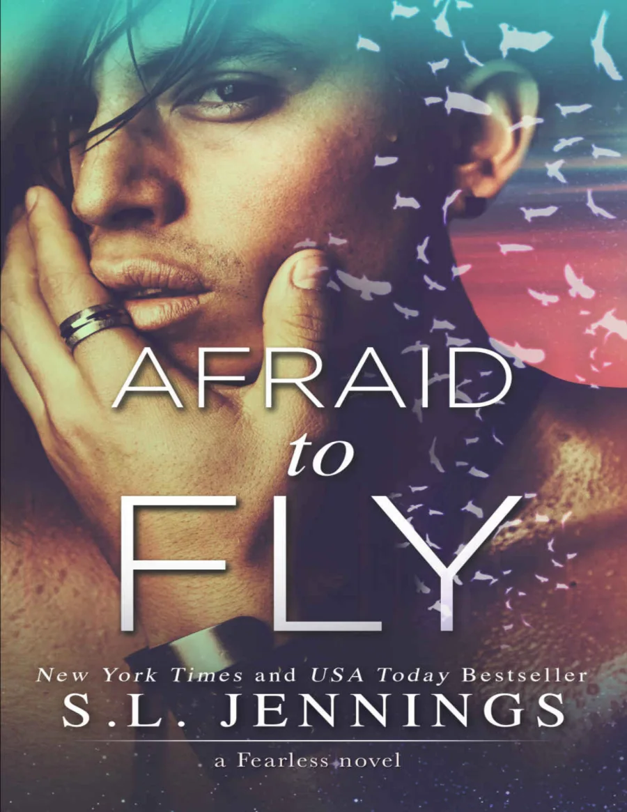SL Jennings Fearless 2 Afraid to Fly kapak görseli