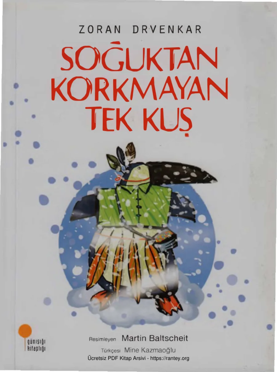 Soğuktan Korkmayan Tek Kuş kapak görseli