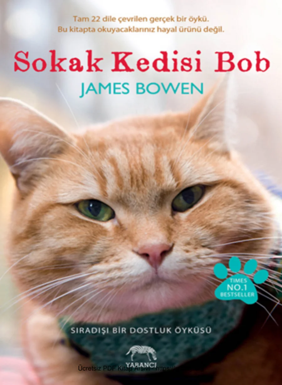 Sokak Kedisi Bob kapak görseli