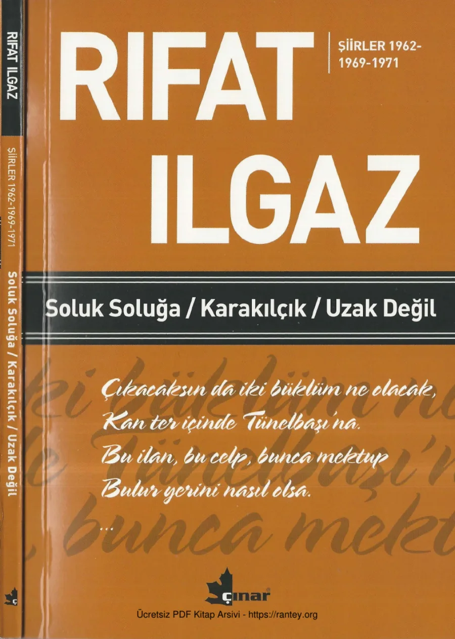 Soluk Soluğa Karakılçık Uzak Değil kapak görseli