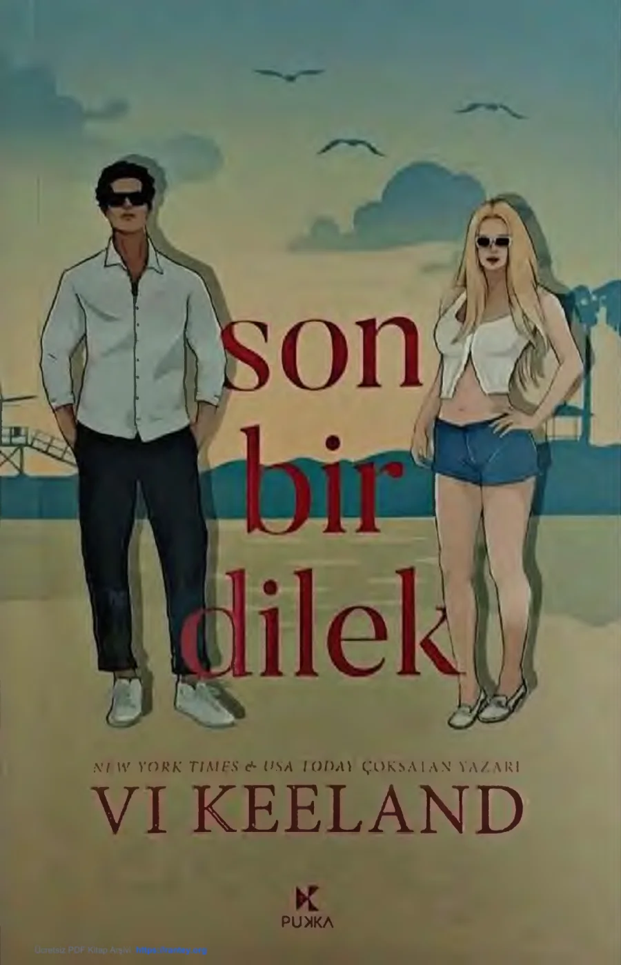 Son Bir Dilek kapak görseli