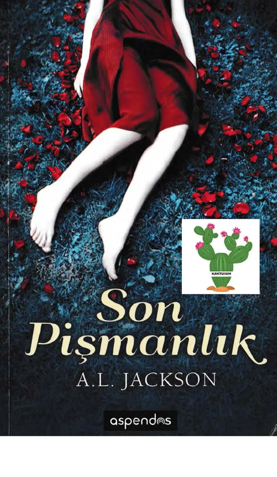 Son Pişmanlık PDF kapak görseli