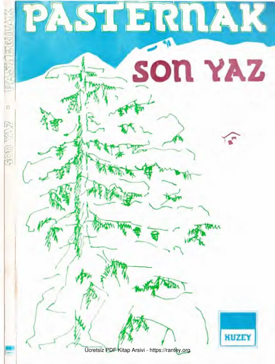 Son Yaz kapak görseli