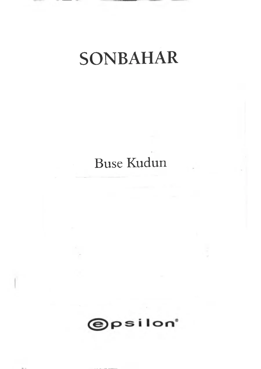 Sonbahar kapak görseli