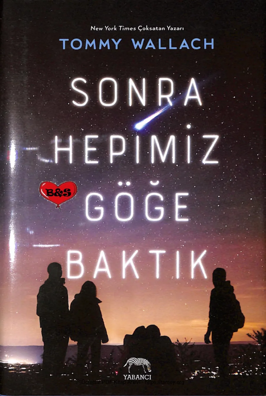 Sonra Hepimiz Göğe Baktık kapak görseli