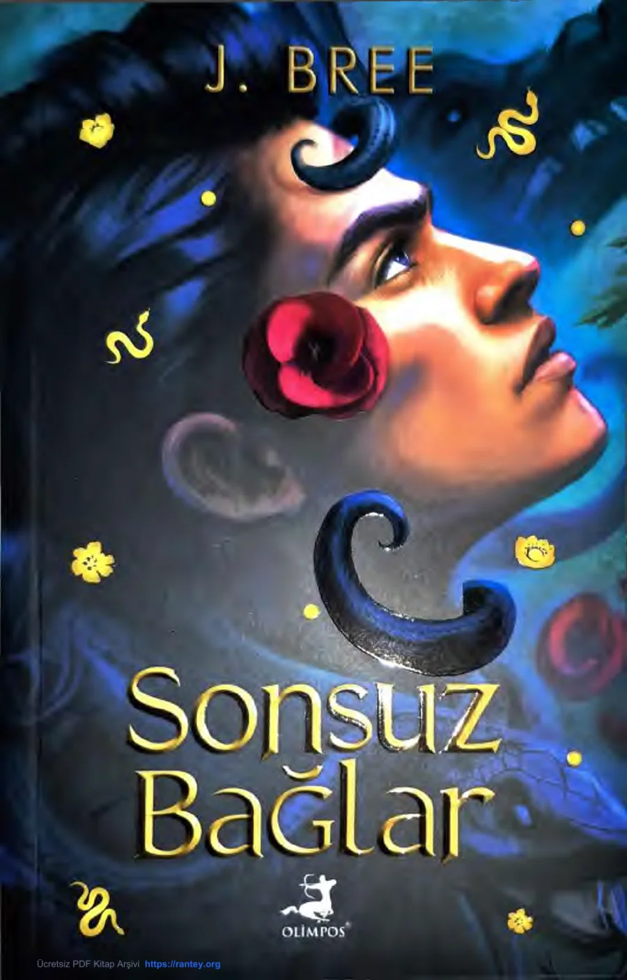 Sonsuz Bağlar kapak görseli