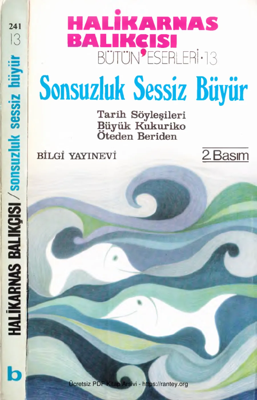 Sonsuzluk Sessizlik Büyür kapak görseli
