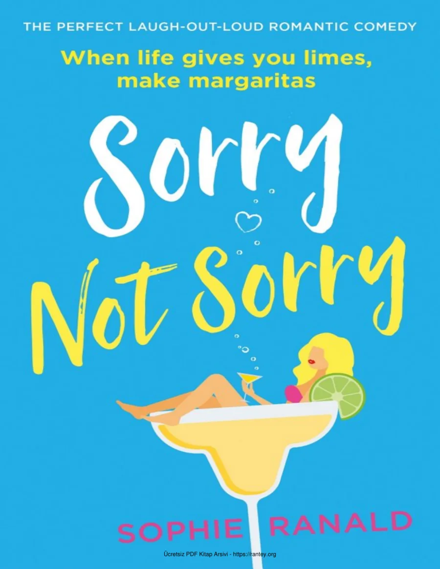 Sorry Not Sorry kapak görseli