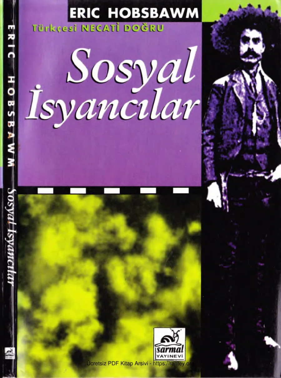 Sosyal Eşkiyalar Sarmal Yayınları kapak görseli