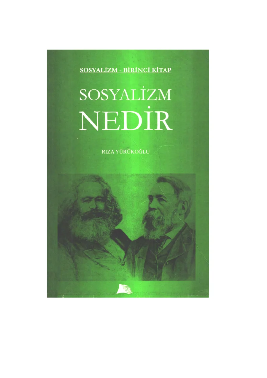 Sosyalizm 1 Kitap Sosyalizm Nedir kapak görseli