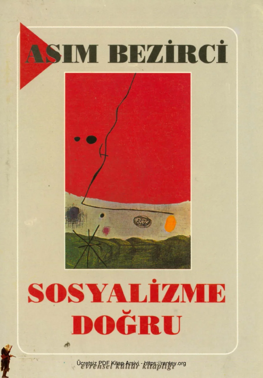 Sosyalizme Doğru kitap kapağı