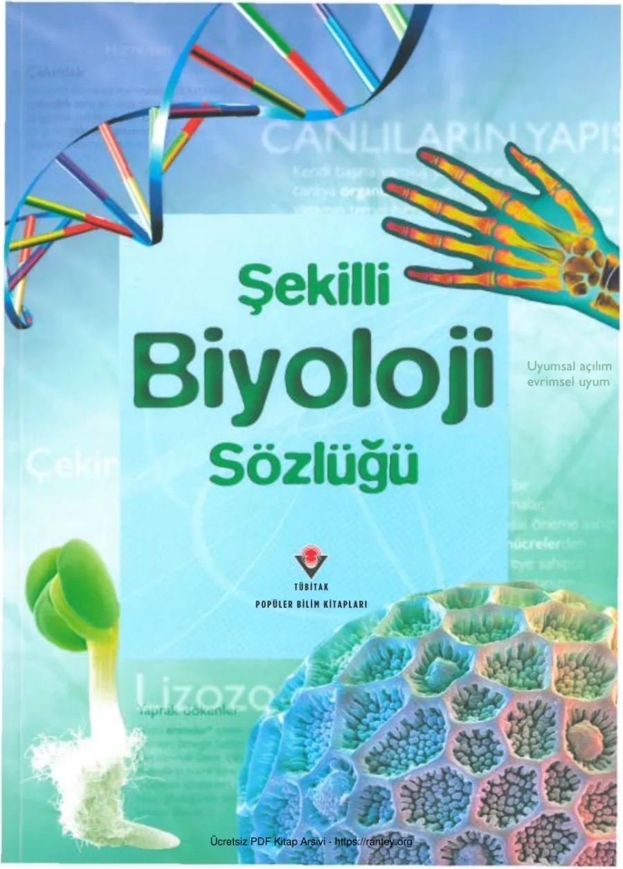 Şekilli Biyoloji Sözlüğü kapak görseli