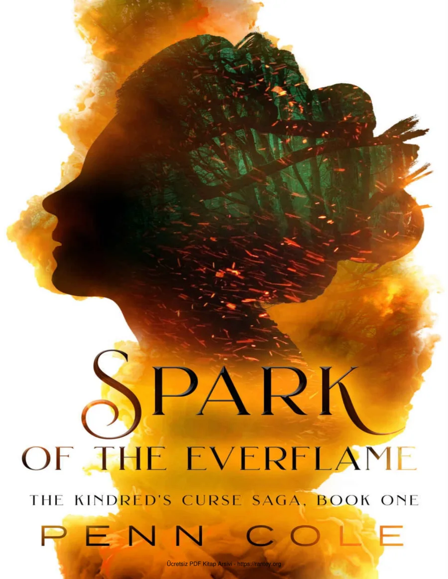 Spark of the Everflame kapak görseli