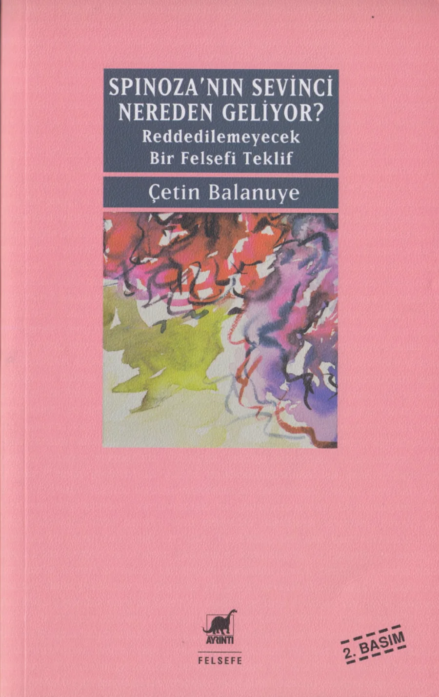 Spinoza'nın Sevinci Nereden Geliyor? kapak görseli