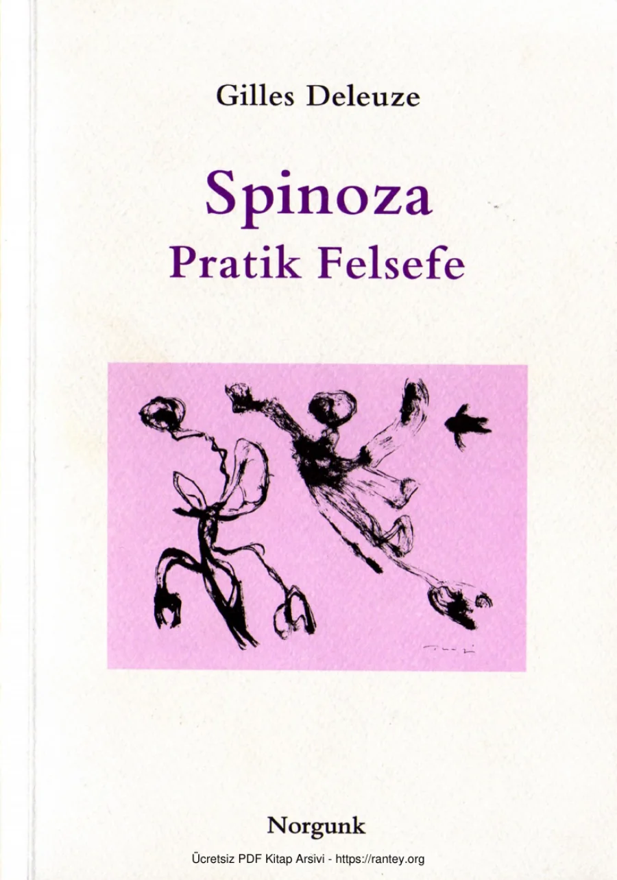 Spinoza Pratik Felsefe kapak görseli