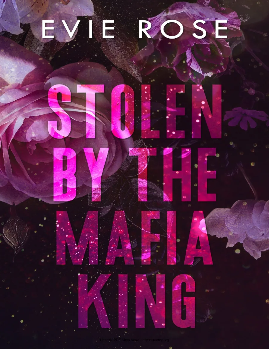 Stolen by the Mafia King kapak görseli