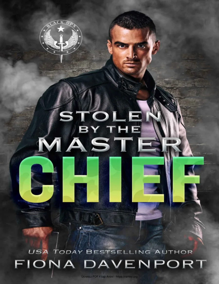 Stolen by the Master Chief kapak görseli