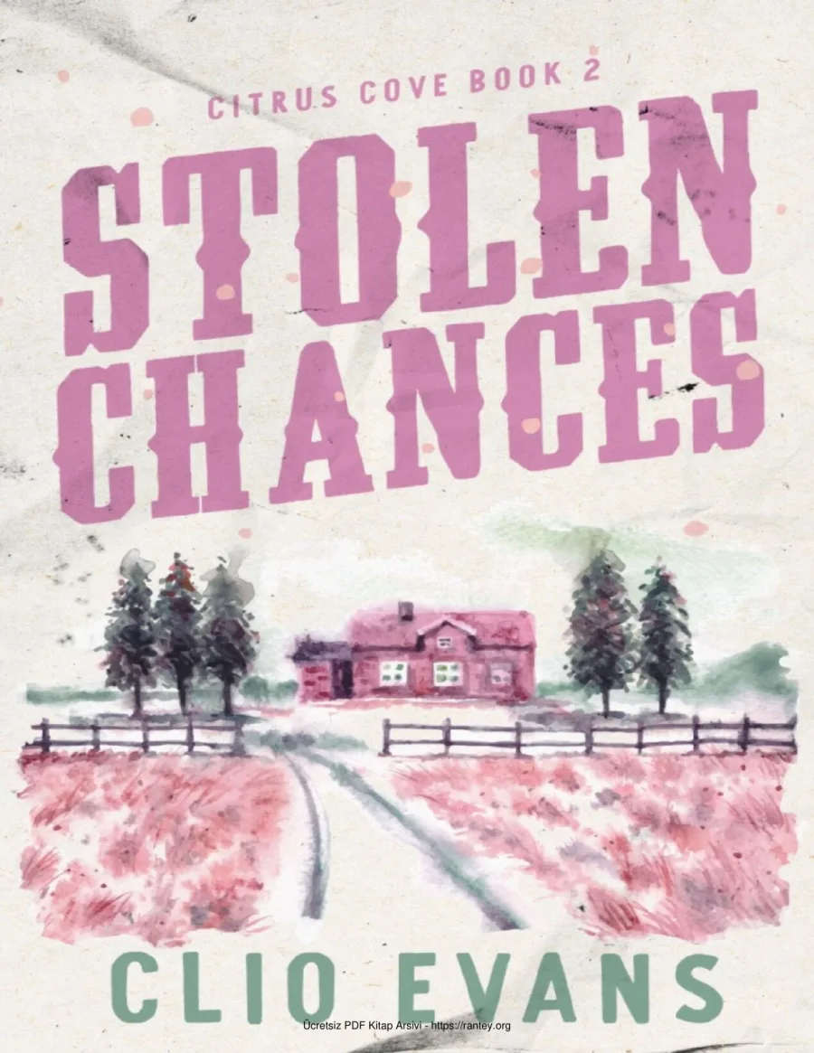 Stolen Chances kapak görseli