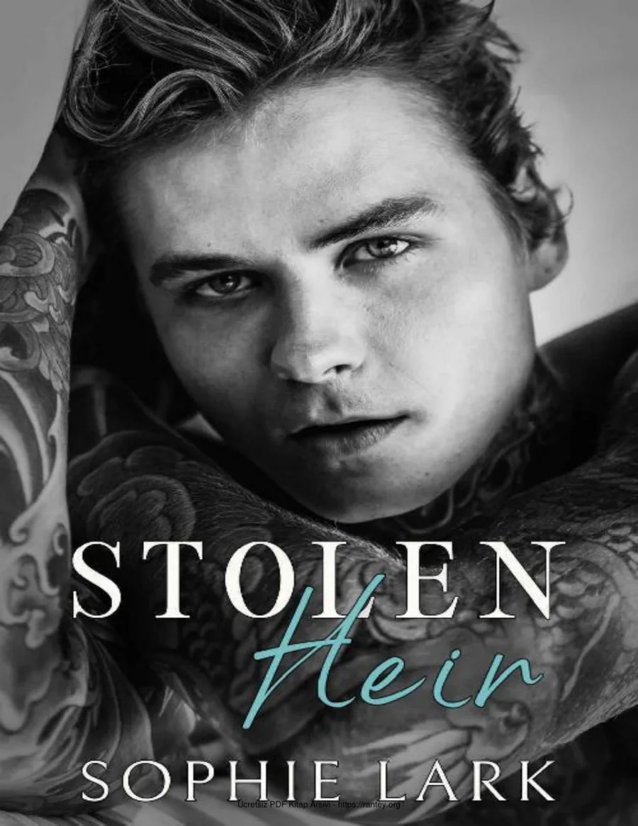 Stolen Heir kapak görseli