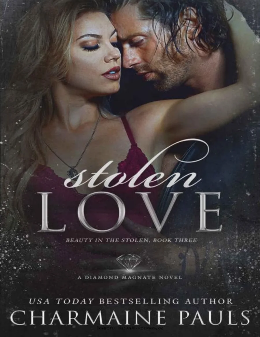Stolen Love kapak görseli
