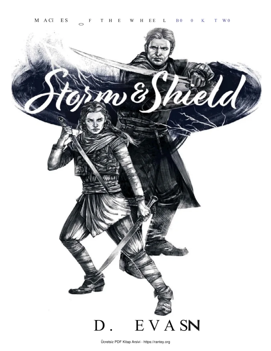 Storm and Shield kapak görseli