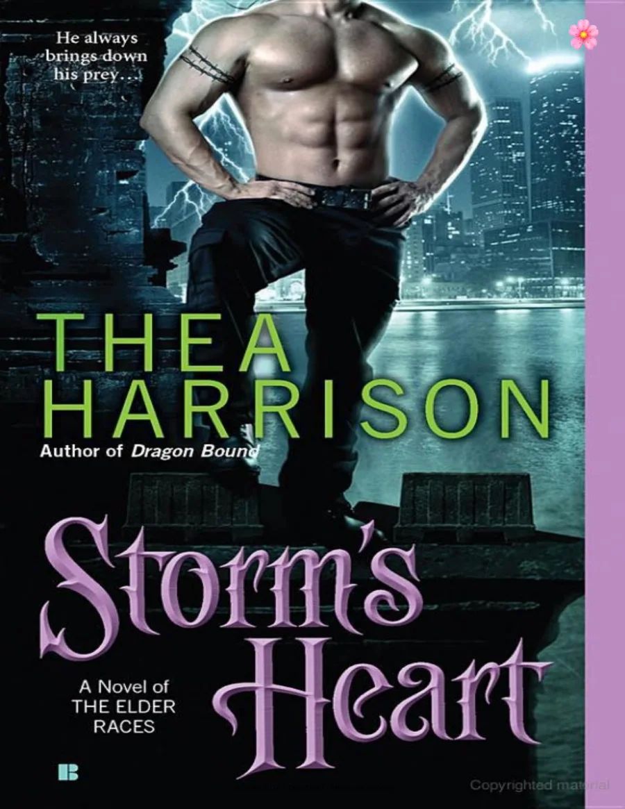 Storms Heart kapak görseli
