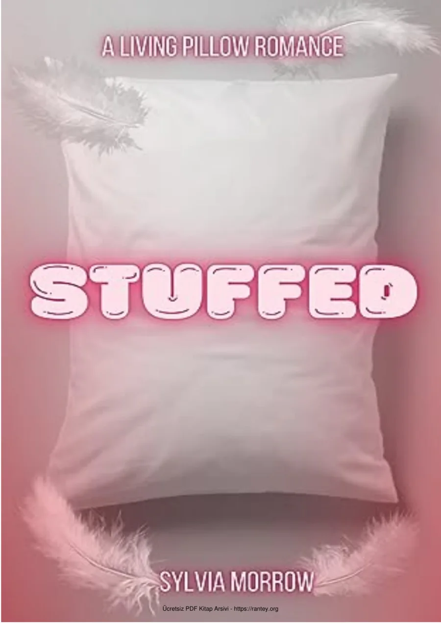 Stuffed kapak görseli