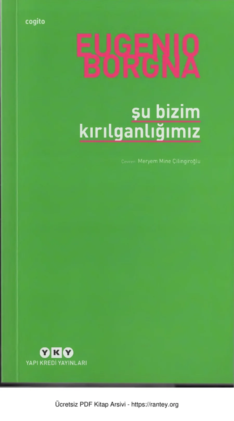 Şu Bizim Kırılganlığımız kapak görseli