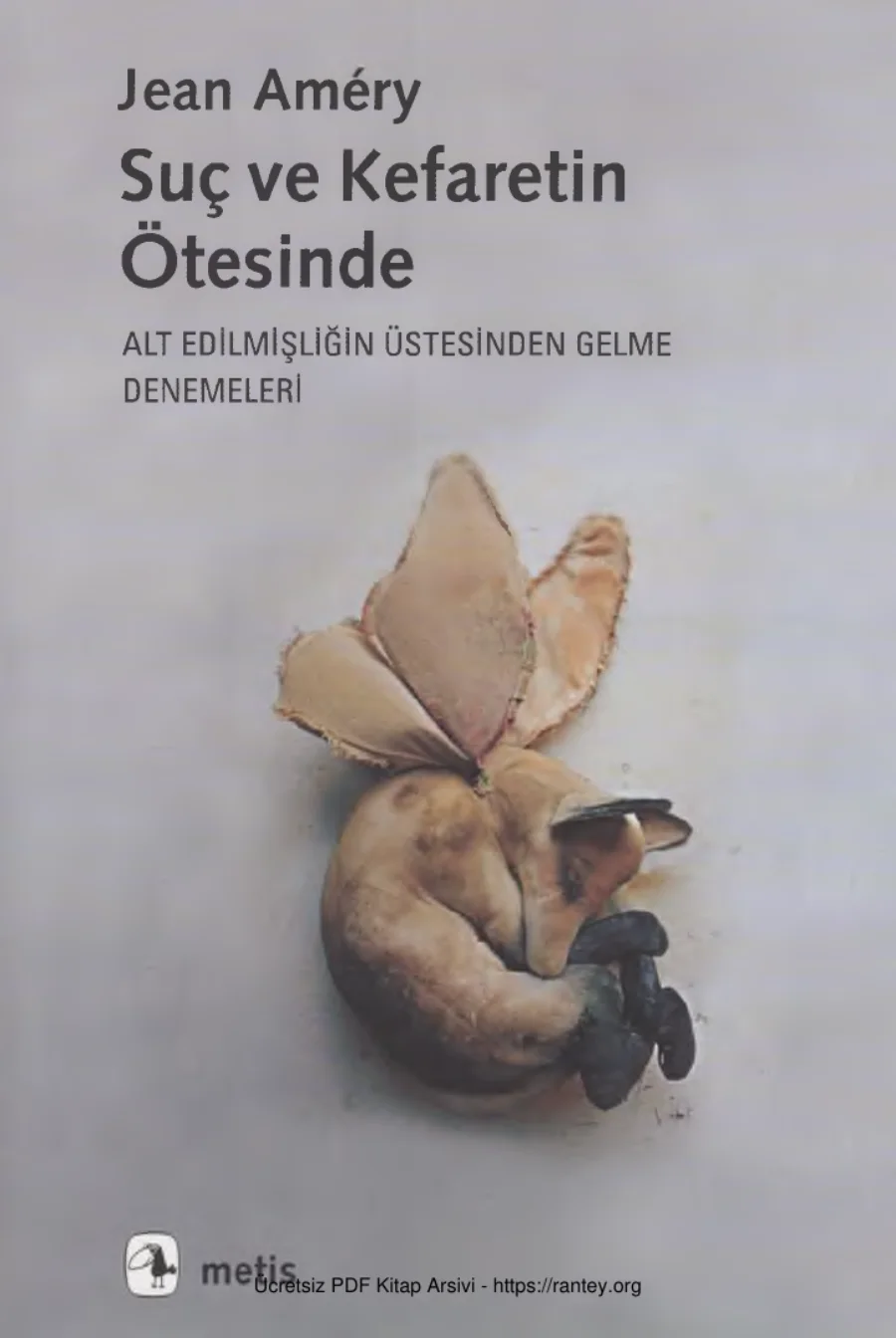 Suç ve Kefaretin Ötesinde kapak görseli
